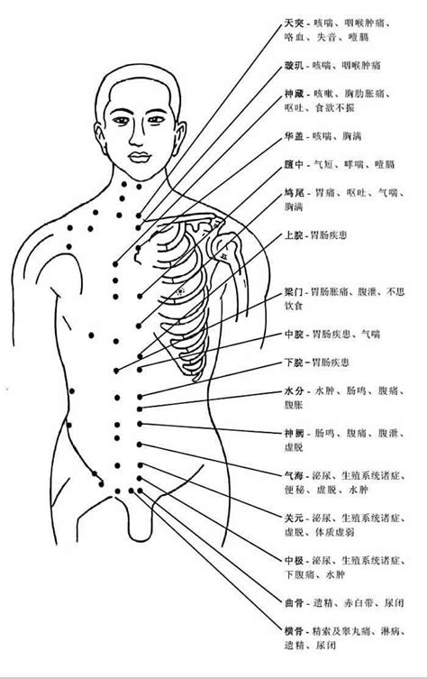 腦門穴|人體穴位圖